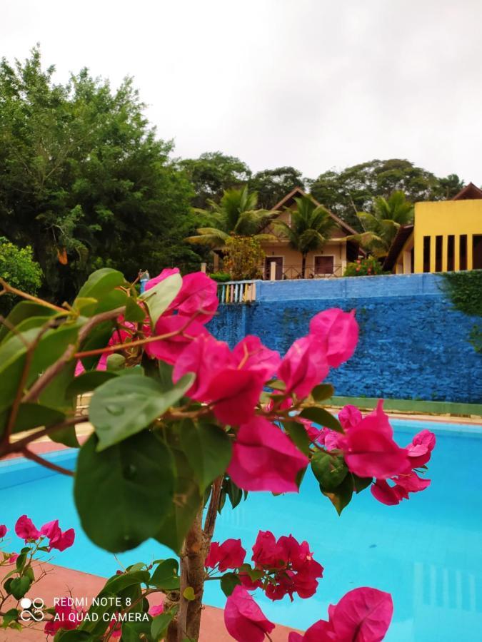 Villa Guaramiranga-Ce Chale Do Rei Exterior foto